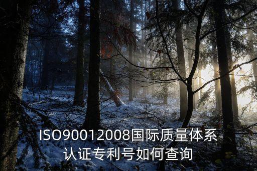 ISO90012008國際質(zhì)量體系認(rèn)證專利號如何查詢