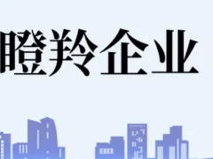 佛山瞪羚企業(yè)認(rèn)定條件、扶持政策最高補貼100萬