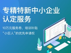 上海專精特新企業(yè)優(yōu)惠政策(專精特新企業(yè)申報(bào)方式)