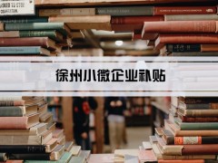 2024年徐州小微企業(yè)補(bǔ)貼和免稅優(yōu)惠政策及小微企業(yè)認(rèn)定標(biāo)準(zhǔn)