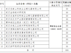 武漢市2024年省級小型微型企業(yè)創(chuàng)業(yè)創(chuàng)新示范基地獎勵資金預(yù)安排公示