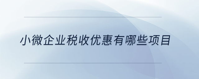 小微企業(yè)稅收優(yōu)惠有哪些項目